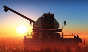 ma-update-agribusiness
